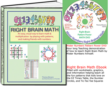 Right Brain Math Book and DVD and worksheets